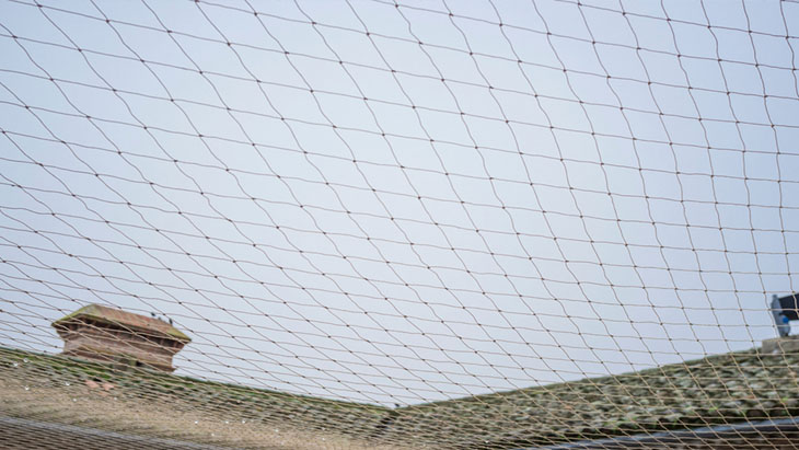 Pigeon Safety nets  in tarnak