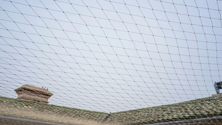 Pigeon Safety nets In Hyderabad