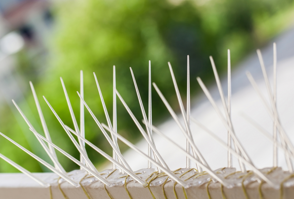 Anti Bird Spikes Rc-puram